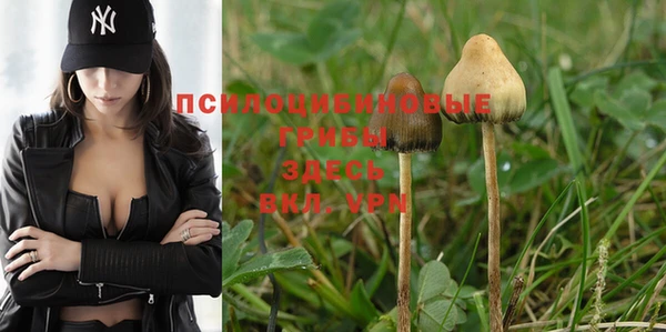 PSILOCYBIN Лабытнанги