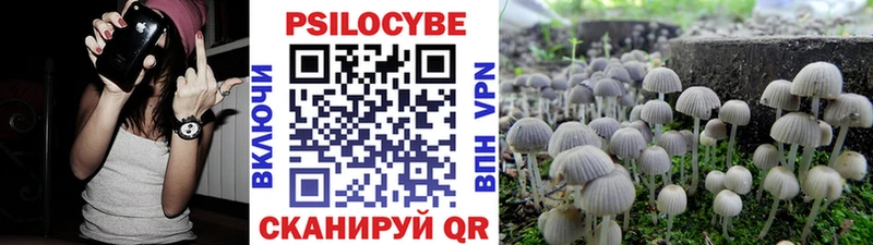 Псилоцибиновые грибы Psilocybe  наркотики  Краснокаменск 