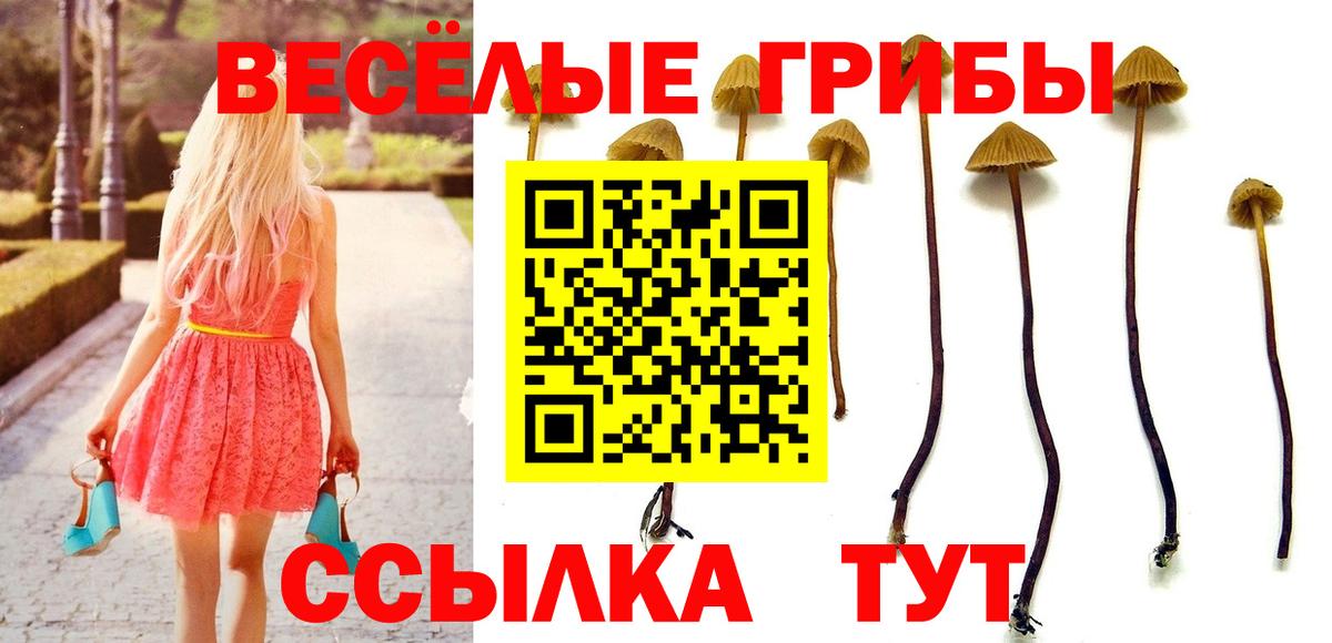 Галлюциногенные грибы Cubensis Краснокаменск