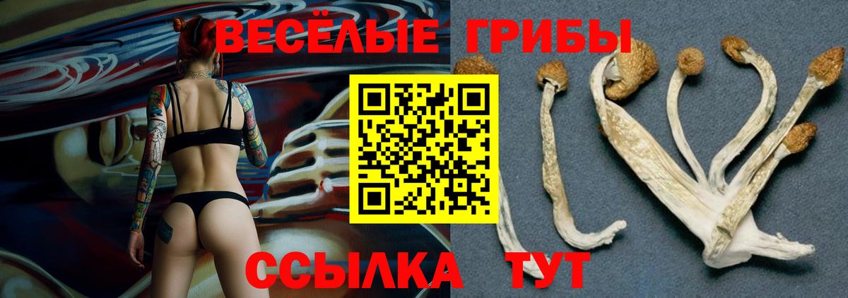 сколько стоит  Вход с VPN  Краснокаменск  Псилоцибиновые грибы GOLDEN TEACHER  Галлюциногенные грибы Psilocybe 